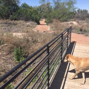 Rio Bosque Wetlands Park - Shortly after this picture was taken she jumped in - Hiking Near Me - El Paso, Texas Rio Bosque Wetlands Park - Shortly after this picture was taken she jumped in - Hiking Near Me - El Paso, Texas