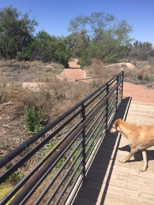 Rio Bosque Park by null