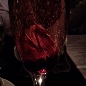 Penumbra - The late Bloomer - Wine Bars Near Me - Chicago, Illinois