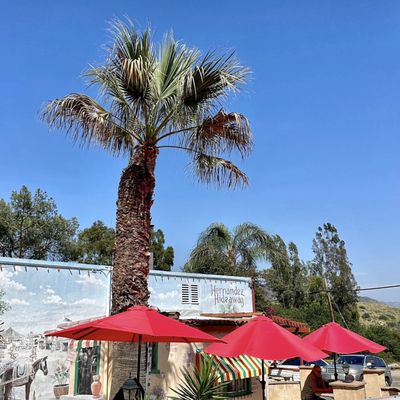 Hernandez Hideaway Restaurant by null