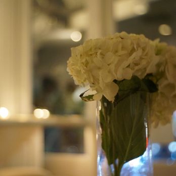 Alexanders on 30th - Bellissima! - Italian Near Me - San Diego, California
