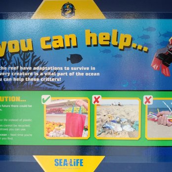 Legoland Deep Sea Adventure - Amusement Parks Near Me - Carlsbad, California Legoland Deep Sea Adventure - Amusement Parks Near Me - Carlsbad, California