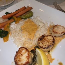 Sea Scallops