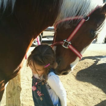 V & H Stables - They really are beautiful.. - Horse Boarding Near Me - Fullerton, California V & H Stables - They really are beautiful.. - Horse Boarding Near Me - Fullerton, California