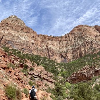 Zion National Park - John L. sighting ;-) - Parks Near Me Zion National Park - John L. sighting ;-) - Parks Near Me