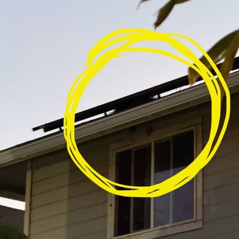 Pressure Pros - Bird nest - Solar Panel Cleaning Near Me