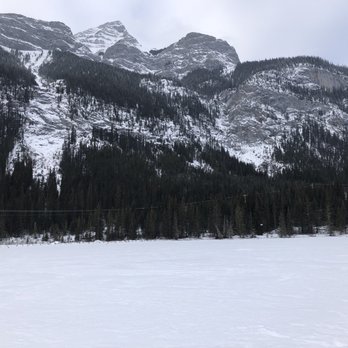 Snowy Owl Sled Dog Tours - Tours Near Me - Canmore, Alberta Snowy Owl Sled Dog Tours - Tours Near Me - Canmore, Alberta