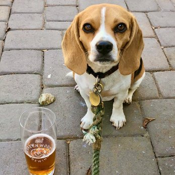 Greenwood Brewing - Pippa Moon enjoying her Pilsner - Brewpubs Near Me - Phoenix, Arizona Greenwood Brewing - Pippa Moon enjoying her Pilsner - Brewpubs Near Me - Phoenix, Arizona