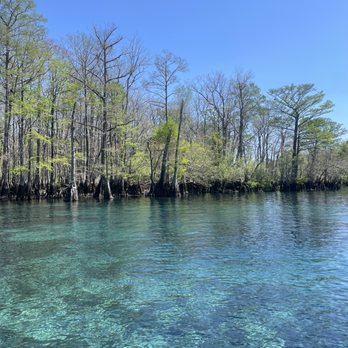 Morrison Springs - Parks Near Me - Ponce de Leon, Florida