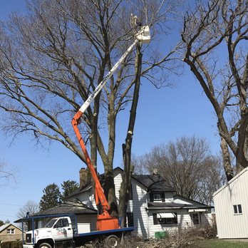 Ron Lender Tree and Landscape Service - a man on a cherry picker - Landscaping Near Me - Freeport, Illinois Ron Lender Tree and Landscape Service - a man on a cherry picker - Landscaping Near Me - Freeport, Illinois