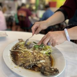 Steamed Flounder