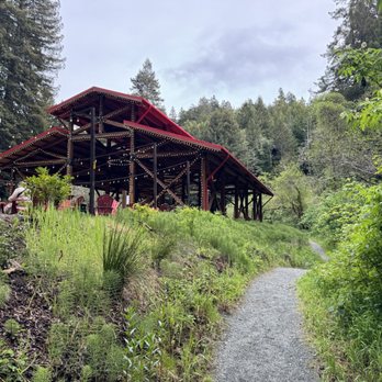 Skunk Train - Lunch break point had some nice easy trails around - Tours Near Me - Fort Bragg, California