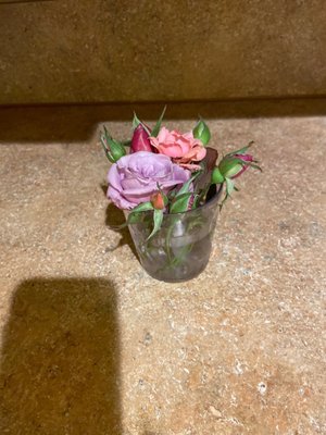 SOLERA AT WEST HOUSTON - Updated July 2025 - 28 Photos & 36 Reviews