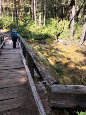 Ohanapecosh Campground by null