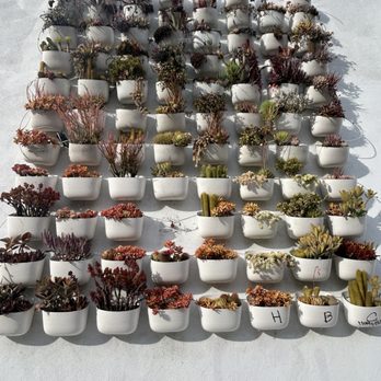 Pigment - Wall outside - Home Decor Near Me - San Diego, California