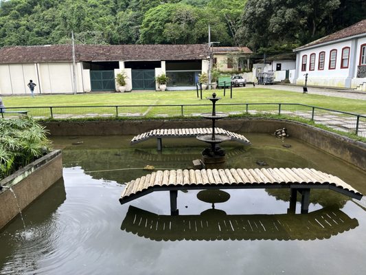 Jardim Botânico by null