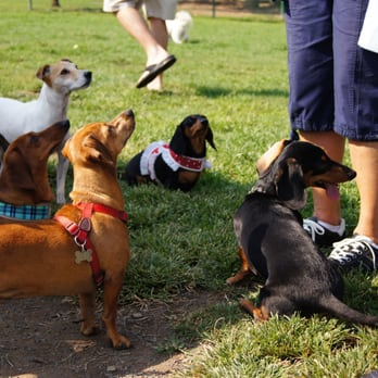 Paso Nogal Park - Dog Parks Near Me - Pleasant Hill, California