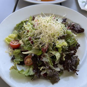 Bloom - House Salad Lunch - American Near Me - Santa Clara, California Bloom - House Salad Lunch - American Near Me - Santa Clara, California