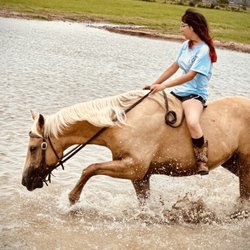 Rosemary Horse Ranch
