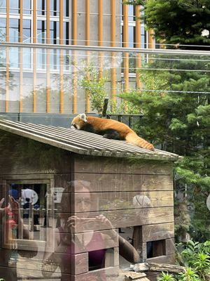 Ueno Zoo by null