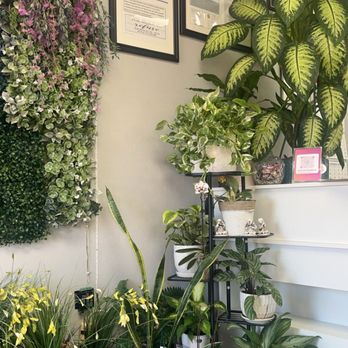 Beautique Salon Plus - Entrance - Hair Salons Near Me - Cypress, California Beautique Salon Plus - Entrance - Hair Salons Near Me - Cypress, California