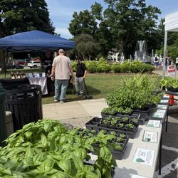Plymouth Farmers Market