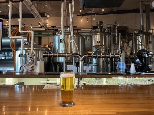 Skeeta Hawk Brewing by null