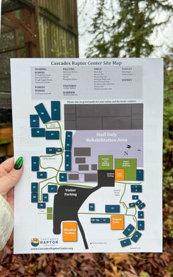 Cascades Raptor Center by null