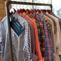 Bonobos