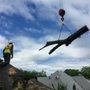 Photo of Arbortex