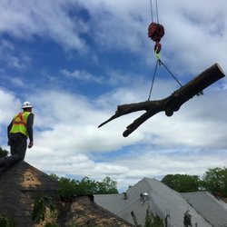 Arbortex - Tornado cleanup. Craning 80 foot pecan tree off of house