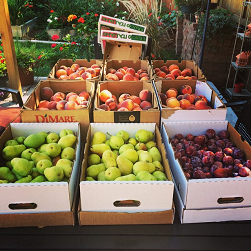 The Palisade Peach & Produce Logo