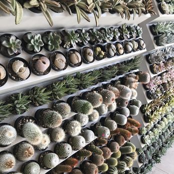 Pigment - Home Decor Near Me - San Diego, California