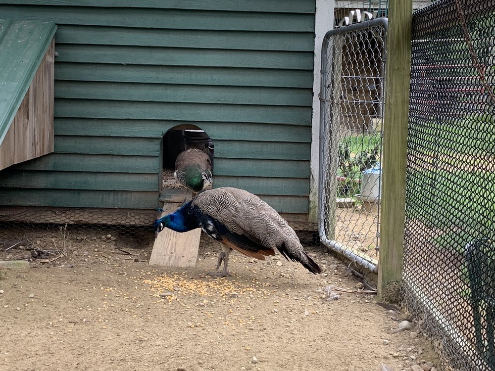 WELIKIT ICE CREAM Updated September 2024 62 Photos & 71 Reviews