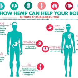 CBD Plus - What can CBD/Hemp do for you?