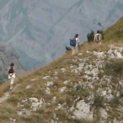 La Sauvagine