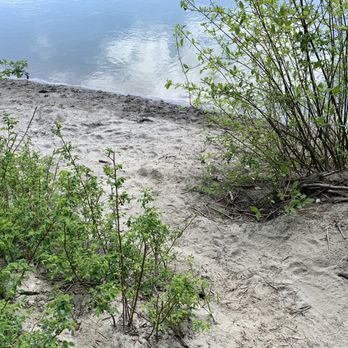 North Lions Park - Found one patch of beach! - Parks Near Me - Mount Vernon, Washington