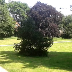 Schloss Elbroich - Park Elbroich 1