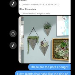 Citrus Park Landscape Nursery