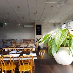 St Cloud - Potted plant perspective