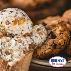 Mountain Mocha - 40 flavors of Hershey's Ice Cream