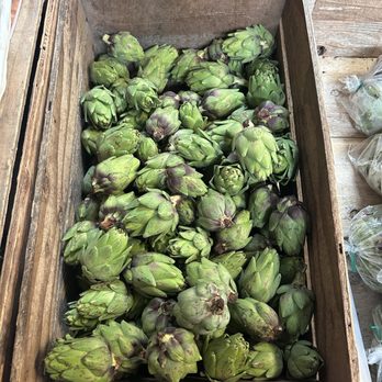Pezzini Farms - Artichokes for sale - Fruits & Veggies Near Me - Castroville, California Pezzini Farms - Artichokes for sale - Fruits & Veggies Near Me - Castroville, California