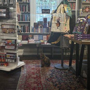 E Shaver Bookseller - The store cat! - Bookstores Near Me - Savannah, Georgia E Shaver Bookseller - The store cat! - Bookstores Near Me - Savannah, Georgia