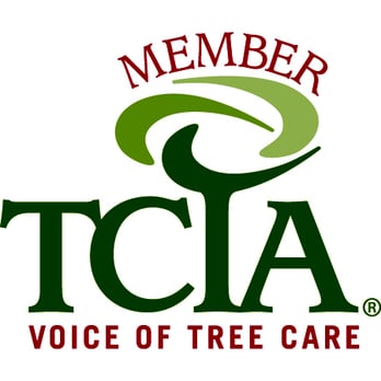 High Peaks Tree Removal - Proud Member of TCIA - Tree Care Industry - Tree Services Near Me - Queensbury, New York High Peaks Tree Removal - Proud Member of TCIA - Tree Care Industry - Tree Services Near Me - Queensbury, New York
