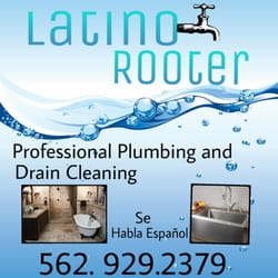 Latino Rooter