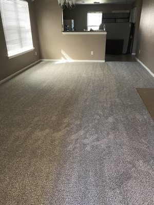 Carpet Giant