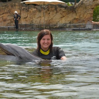 Discovery Cove - undefined - Amusement Parks Near Me - Orlando, Florida Discovery Cove - undefined - Amusement Parks Near Me - Orlando, Florida