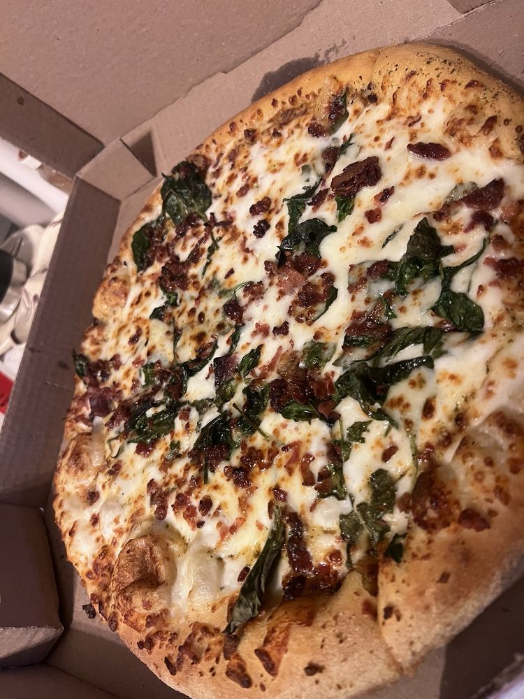 Domino's Pizza Logo
