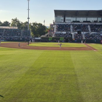 Harrisburg Senators - Field view - Professional Sports Teams Near Me - Harrisburg, Pennsylvania