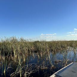 Everglades.
